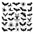 Silhouette set of bat. Vector isolated illustration Royalty Free Stock Photo