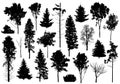 Silhouette of set different trees. Collection of coniferous evergreen forest trees, deciduous trees, bare trees. Vector Royalty Free Stock Photo