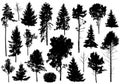 Silhouette of set different trees. Collection of coniferous evergreen forest trees, deciduous trees. Vector illustration Royalty Free Stock Photo