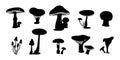 Silhouette Set of Mushroom. Various Mushrooms hand drawn shape. Champignon, chanterelle and shiitake. Royalty Free Stock Photo