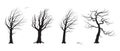 Silhouette Set of Old Trees Without Leaves in Wind