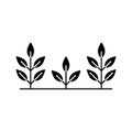 Silhouette Set of three trees or plant. Outline icon of eco farming, garden, agriculture, crops, growing. Black illustration of