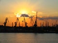 Silhouette of several cranes Royalty Free Stock Photo