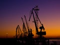 Silhouette of several cranes in a harbor Royalty Free Stock Photo