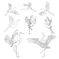 Silhouette or shadow black ink icons of crane birds or herons flying and standing set. Group of storks outline template Royalty Free Stock Photo