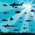 silhouette of a shoal of fish. Vector illustration decorative design