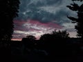 A silhouette shot across a dog park after an evening storm featuring a purple reflection across dark grey clouds