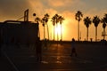 Silhouette shot of people playing basketball at a basketball court near coconut trees during sunset Royalty Free Stock Photo