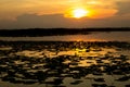 Silhouette shot, Sunset Over lake or pond or swamp of Bueng See Royalty Free Stock Photo