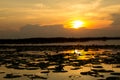 Silhouette shot, Sunset Over lake or pond or swamp of Bueng See Royalty Free Stock Photo