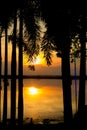 Silhouette shot, Sunset with tree over lake or pond or swamp of Royalty Free Stock Photo