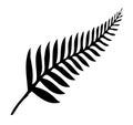 Silver Fern of New Zealand Royalty Free Stock Photo