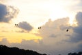 Silhouette of singapore cable car transportation to sentosa island on the evening