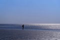 Silhouette of single human on the beach looking towards horizon