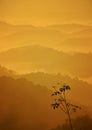 Silhouette of single lonely tree on mountain as background