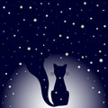Silhouette of sitting cat on dark blue night sky background with stars. Royalty Free Stock Photo