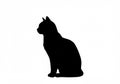 Silhouette of a sitting cat in profile view. The image features bold black Royalty Free Stock Photo