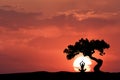 Silhouette of a sitting woman practicing yoga Royalty Free Stock Photo