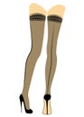 Silhouette of slender beautiful lady legs. The girl is standing. The woman is dressed in fashionable stockings and shod in black