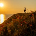 Silhouette of a woman standing on a grassy hill next to the ocean at sunset with a colorful red poppy flower meadow in the Royalty Free Stock Photo