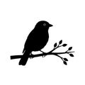 Silhouette of a small bird perched on a branch with several leaves Royalty Free Stock Photo