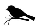 Silhouette of a small bird - sparrow sitting on a branch - stock vector illustration for logo or pictogram. A bird on a branch is Royalty Free Stock Photo