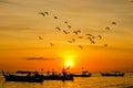 Silhouette Small fishing boat with birds and sunsets