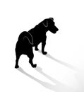 Silhouette of small standing dogs Jack Russell Terrier. Rear and top view of the pets isolated on white background