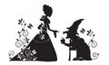 The silhouette of Snow white and the evil witch.