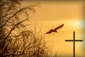 Silhouette of a soaring bird and religious cross on a background of dramatic sunset Royalty Free Stock Photo