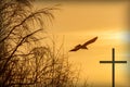 Silhouette of a soaring bird and religious cross Royalty Free Stock Photo