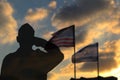Silhouette of a soldier in army uniform salutes friendship and alliance of the USA and Israel, flags USA and Israel Royalty Free Stock Photo