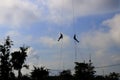 Silhouette Soldier rappelling from helicopter in blue sky