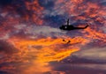Silhouette soldiers in action rappelling climb down from helicopter with military mission counter terrorism Royalty Free Stock Photo