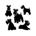 Silhouette Solid Vector Icon Set Of Dog, Breeds, Canine, Pooch, Hound, Puppy, Mutt, Pet, Doggy.