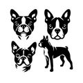 Silhouette Solid Vector Icon Set Of Dog, Breeds, Canine, Pooch, Hound, Puppy, Mutt, Pet, Doggy.