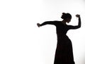 Silhouette of spanish girl flamenco dancer on a light background. free space for your text