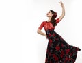 Spanish girl flamenco dancer on a light background. free space for your text Royalty Free Stock Photo