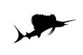 Silhouette of spearfish on white