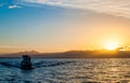 Silhouette of Speed boat in the ocean at sunset Royalty Free Stock Photo