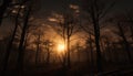 Silhouette of spooky tree branch back lit by autumn sunset generated by AI