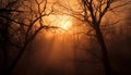 Silhouette of spooky tree branch back lit by sunset sky generated by AI