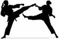 Silhouette Karate ji , Shadow Sport illustration, White Background