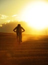 Silhouette sport man cycling downhill riding cross country mount Royalty Free Stock Photo