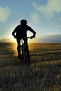 Silhouette sport man cycling downhill riding cross country mount Royalty Free Stock Photo