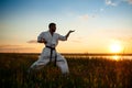 Silhouette of sportive man training karate in field at sunrise. Royalty Free Stock Photo