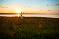 Silhouette of sportive man training karate in field at sunrise. Royalty Free Stock Photo