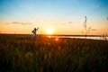 Silhouette of sportive man training karate in field at sunrise. Royalty Free Stock Photo