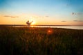 Silhouette of sportive man training karate in field at sunrise. Royalty Free Stock Photo