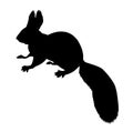 Silhouette of the squirrel Royalty Free Stock Photo